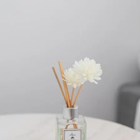 - Private Pool & Jacuzzi & Place Pastida